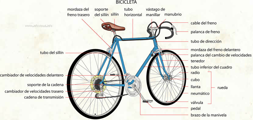 Bicicleta (Diccionario visual)